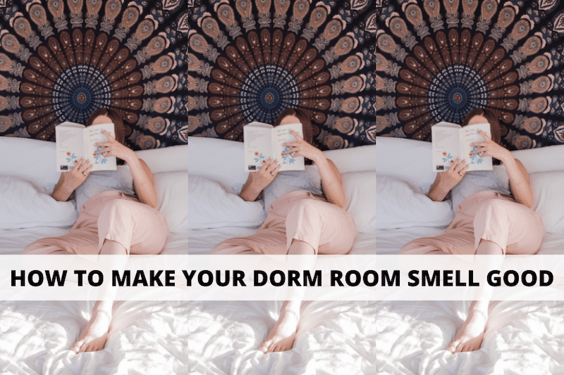 How to Get Rid of the Musty Smell in the Dorm room