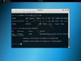 How to Enable and Disable Networking in Kali Linux?