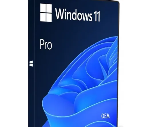 licenta windows 11