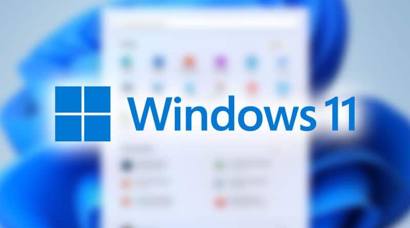 Windows 11 Software Problem